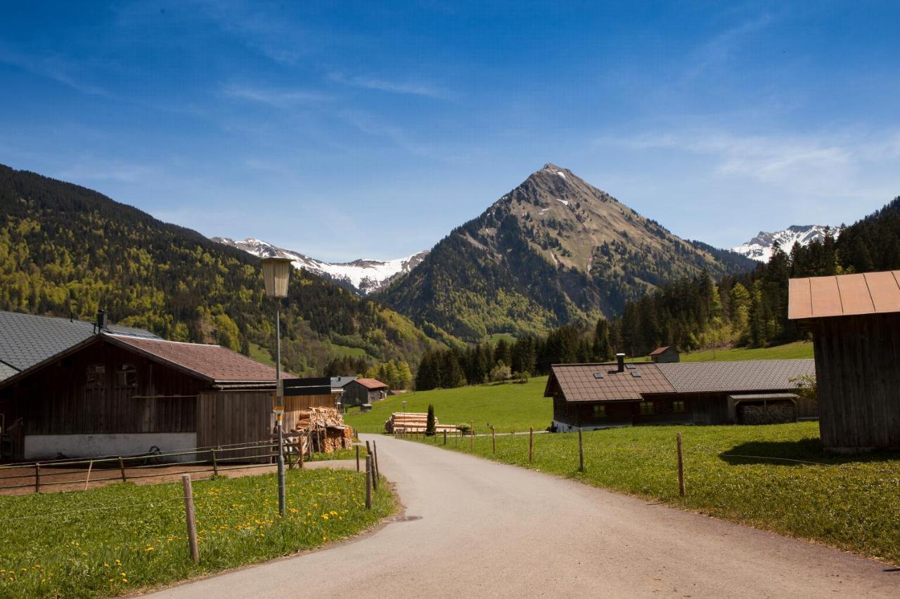 Ferienbauernhof Kohler Apartment ชอปเปอร์เนา ภายนอก รูปภาพ